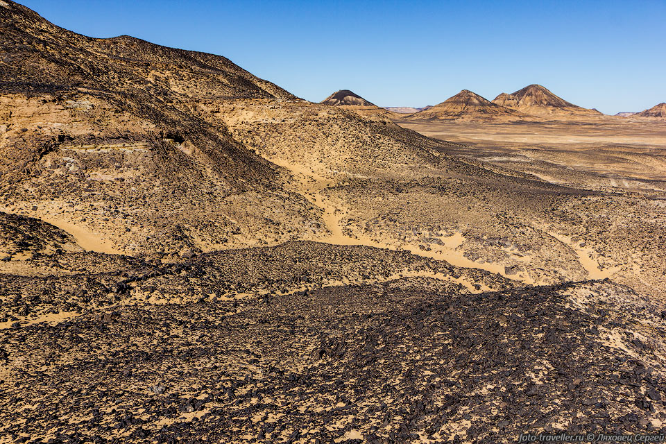 Черной пустыней местность стала из-за выветривания вулканических 
пород, 
вследствие которого пустыня покрылась слоем черных камней