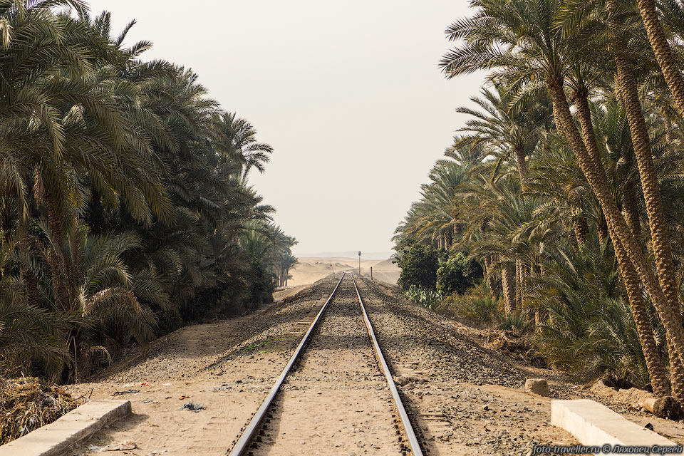 Железная дорога пересекает долину Нила