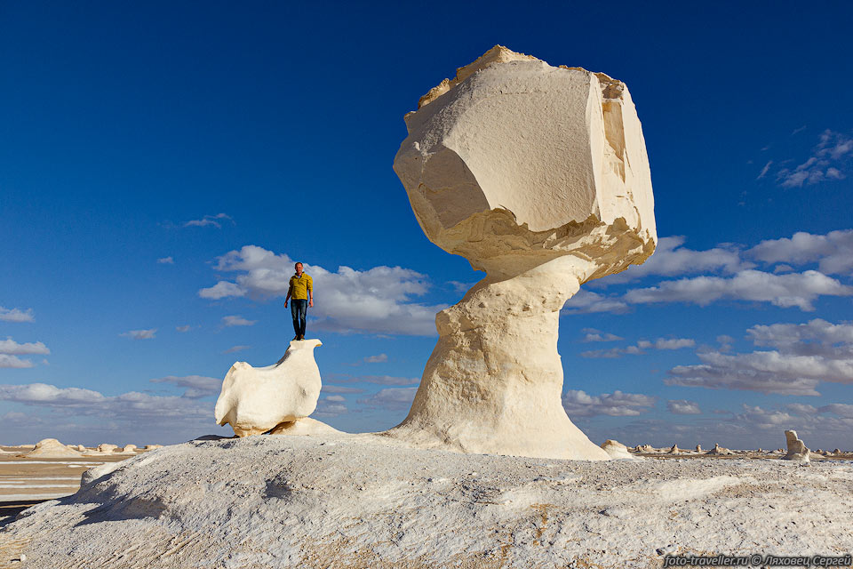 Большой и красивый каменный гриб - лучший и самый впечатляющий 
останец в Белой пустыне