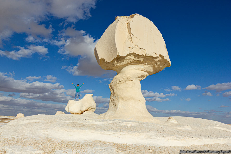 Большой гриб в Белой пустыне Египта
