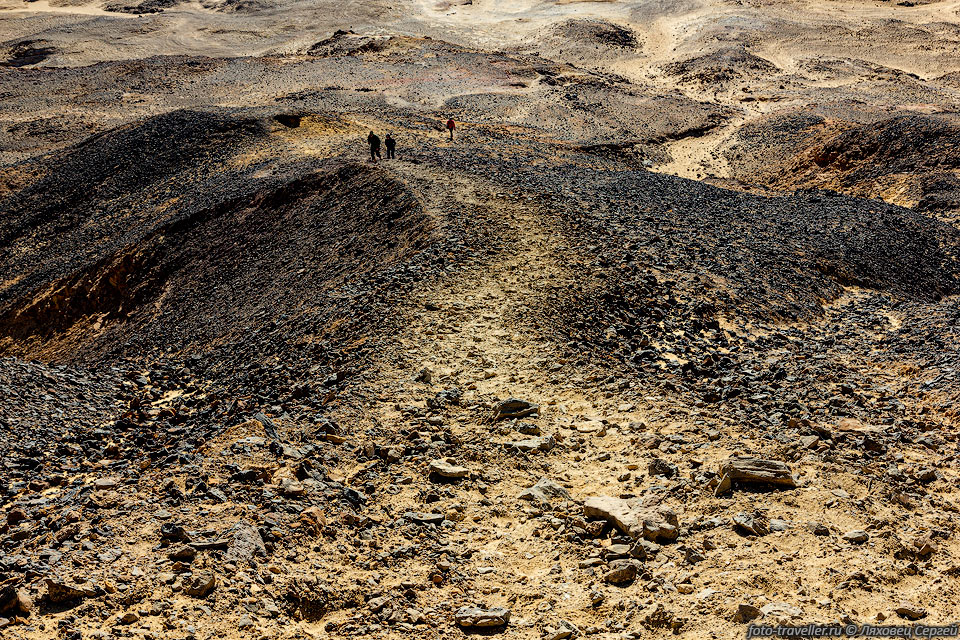 Черная пустыня (Black Desert) в Египте расположена примерно в 
100 км к северо-востоку от Белой пустыни.
Свое название она получила из-за множества вулканических конусов и черных камней.