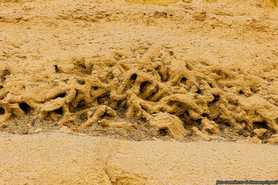 Древние отложения в прибрежной полосе древнего моря