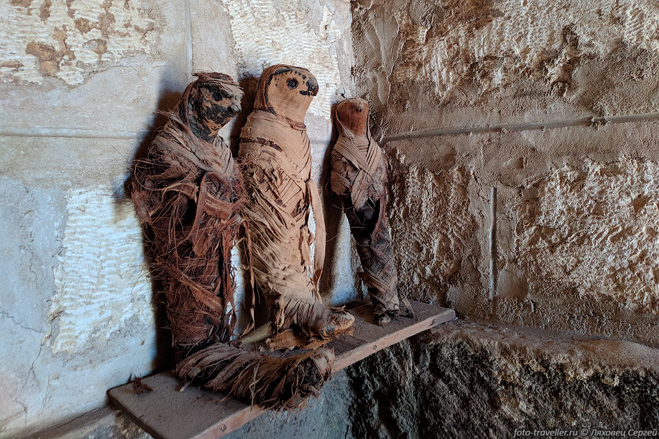 Немного в стороне от наземных гробниц в Туна эль-Джебель находится 
вход в подземные катакомбы и захоронения.