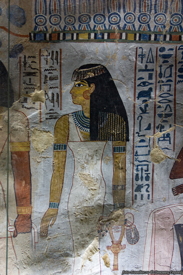  Рисунки в гробнице Сеннофера (TT96 Sennofer 18th Dynasty).
Гробницы знати (Tombs of the Nobles, Theban Necropolis) в Луксоре.