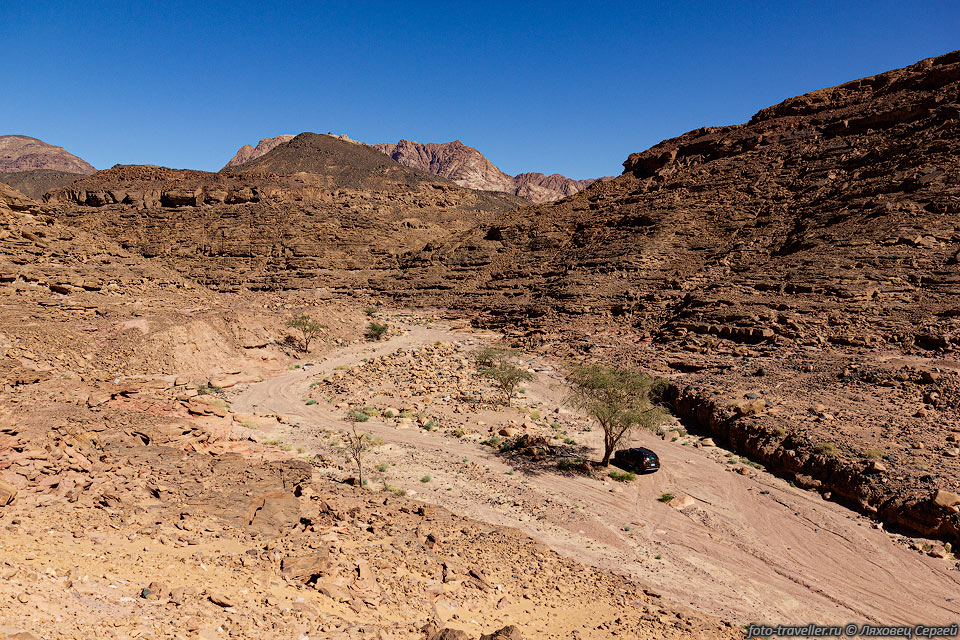 Вади Мукаттаб (Вади аль Мукаттаб, Wadi Mukattab, Valley of Inscriptions) 
переводится как Долина надписей или Исписанная долина.