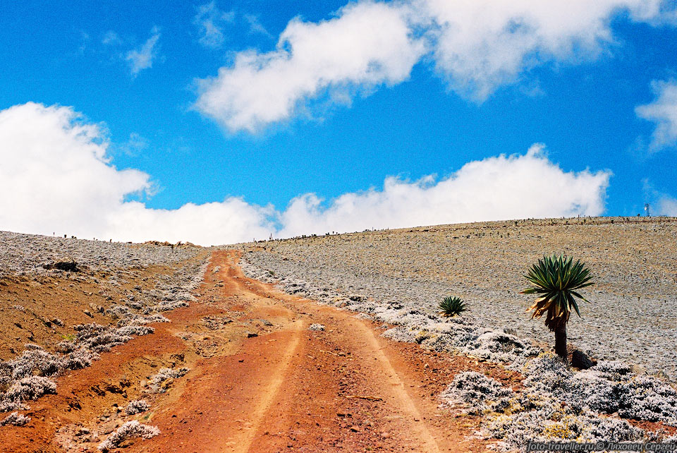 Дорога из поселка Гоба (Goba) на юг в поселок Доло-Мена (Dolo-Mena)

проходит через плато Санетти на высотах свыше 4000 м
и является одной из самых высоких всепогодных дорог Эфиопии