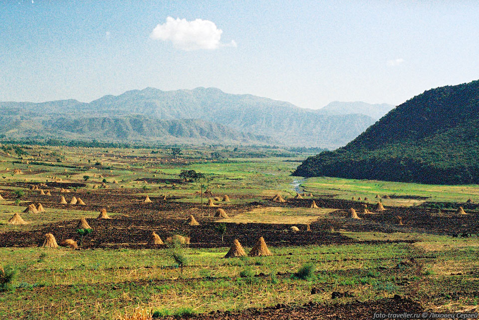 Поля на севере Эфиопии.