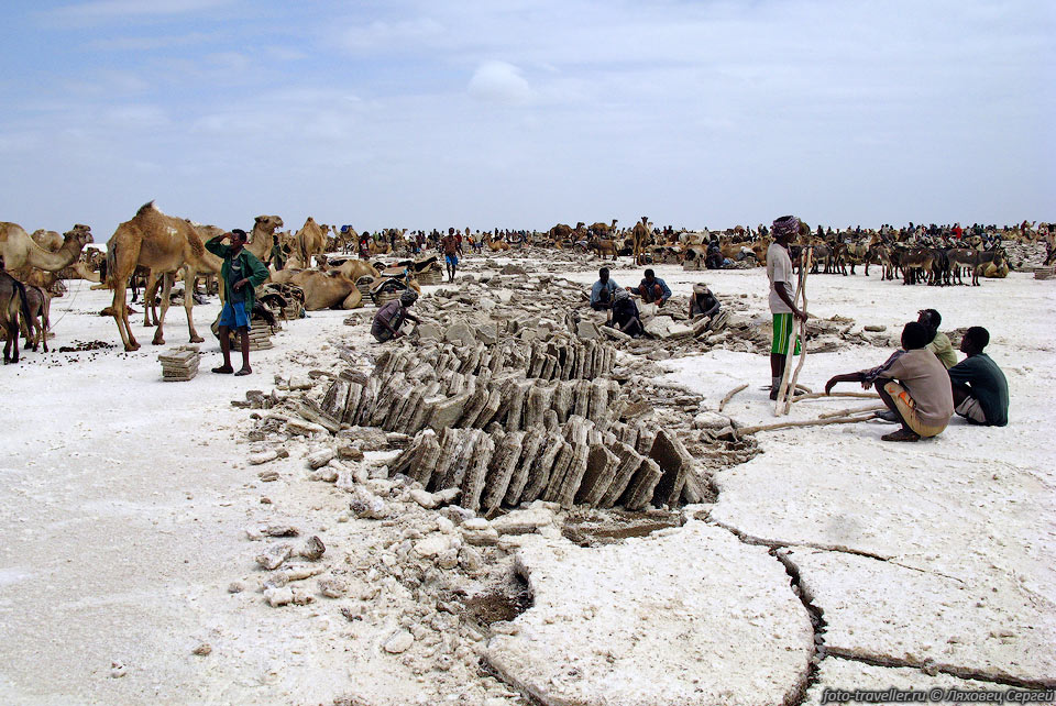 Добыча соли в районе озера Ассаль (Карум).