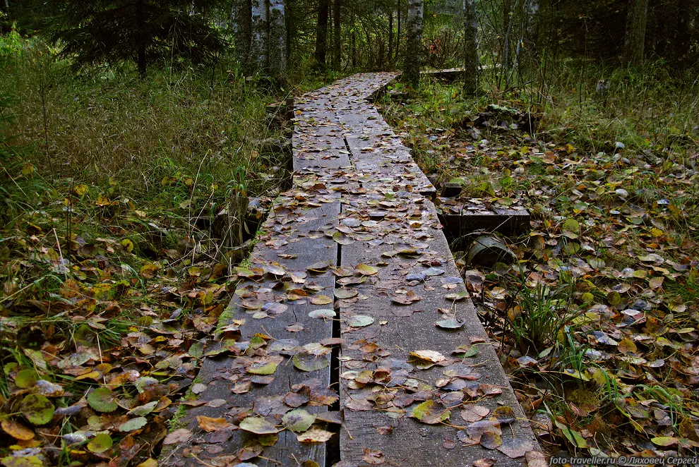 "Естественная тропинка".
Nahkialspolku nature trail.
Национальный парк Нууксио (Nuuksio National Park).