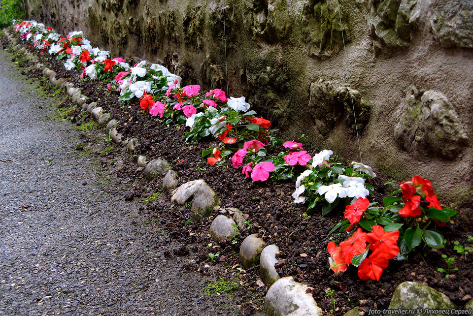 Цветы вдоль дороги.
В Европе маленькие городки утопают в цветах.