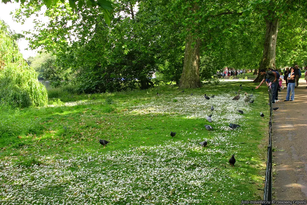 Парк Сент-Джеймс (Saint-James Park)