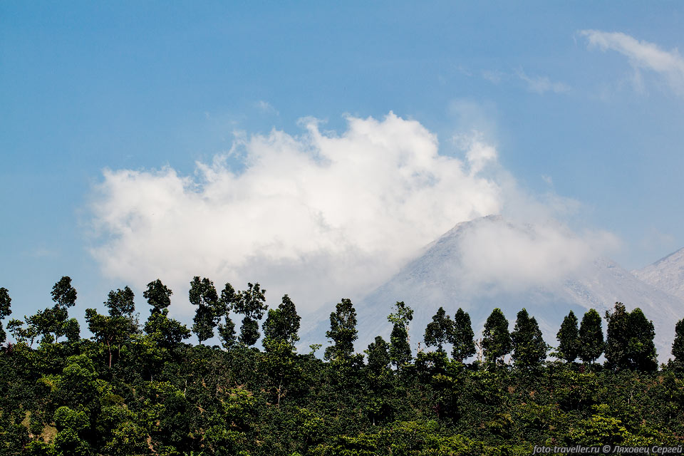 Вид на вулкан Сантьягито (Volcаn Santiaguito, 2550 м) из поселка 
Сан-Мигелито-Калауаче (San Miguelito Calahuache).
Вулкан Сантьягито как и Фуэго сейчас тоже приутих, снизу никаких признаков извержения 
видно не было.
Изначально думали туда залезть, но решили не терять на него времени. На сам вулкан 
подниматься опасно - он иногда выбрасывает большое облако шлака.
Безопасно смотреть извержение с вершины конуса вулкана Санта Мария, который расположен 
рядом (по сути это один и тот же вулкан).