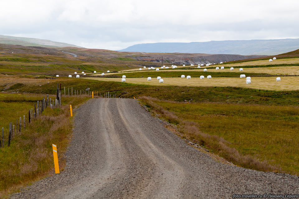 По полям разбросаны тюки с сеном - кормом для баранов.
Это обычный сельский пейзаж Исландии.