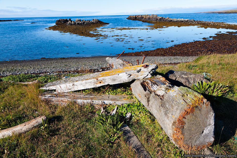 В древние времена древесину в Исландии можно было найти только 
на берегу