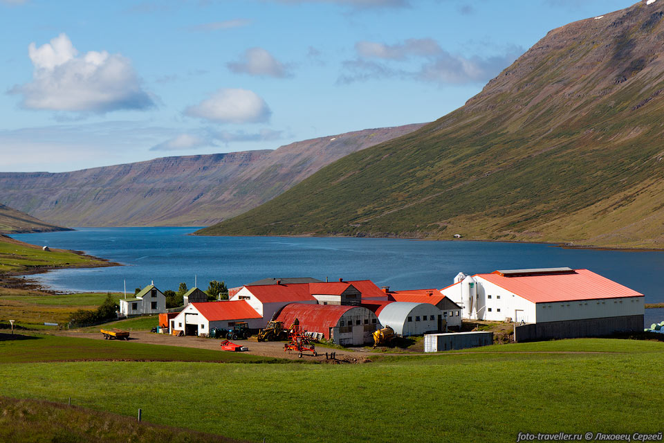 Ферма на берегу фьорда Сугандафьордюр (Súgandafjörður)