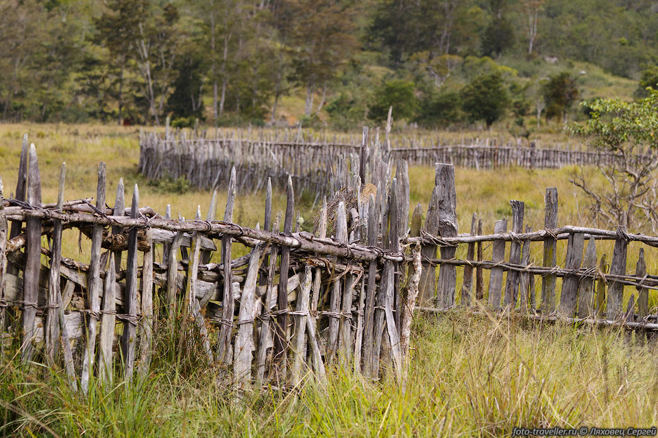 Деревянный забор.
Из поселка Сумпаима в Курулу легко дойти пешком напрямую, пересекая поле по тропинке.