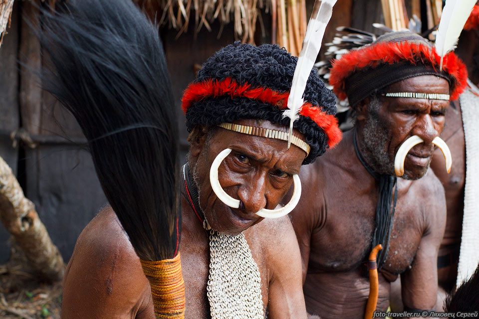 В Папуа обитает порядка 1000 видов птиц.
Перья множества из них используют для украшений.