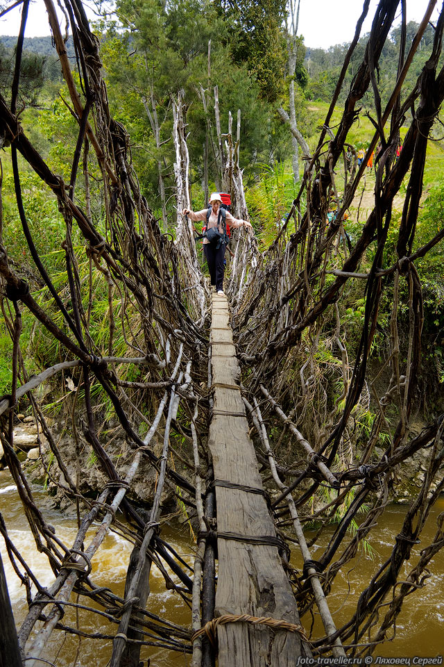 Подвесной мост через реку Ибеле сделан только из лиан и деревьев