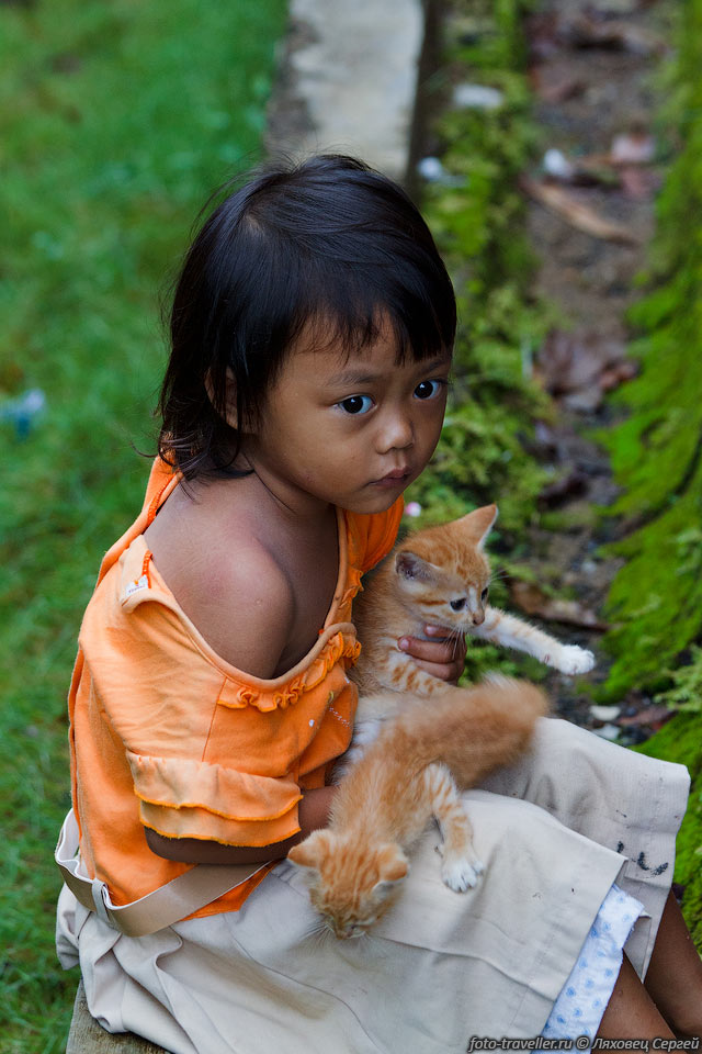 Индонезийский ребенок.
Пришел к нам с котятами, видно играться тут особо не с кем.