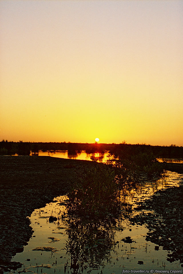 Восход солнца над мангровыми зарослями.
Приехали по темноте, и найти Индийский океан не получилось.
Был отлив и дорогу преграждали поля грязи.