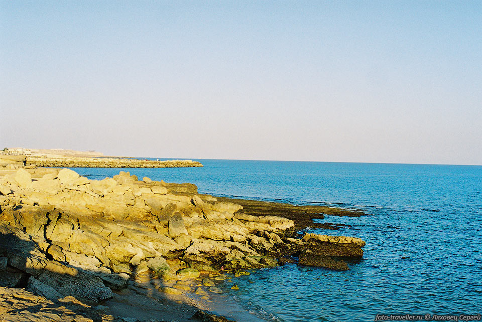 Персидский залив.
Вода очень теплая, в Крыму такая летом не всегда бывает.
 А по календарю средина января.