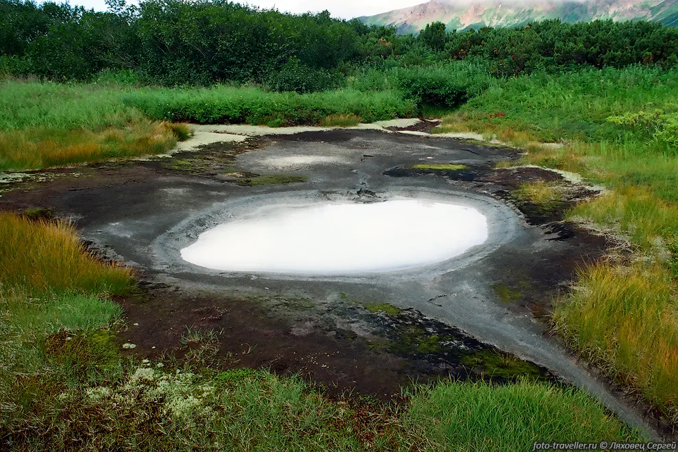 Горячий источник