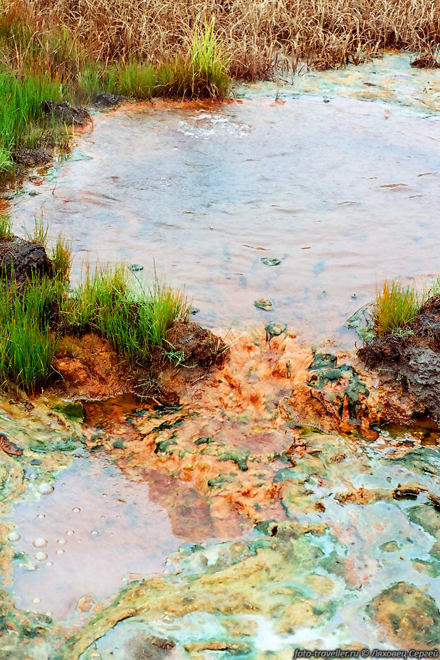 Разноцветные термофильные водоросли в Карымских горячих источниках.