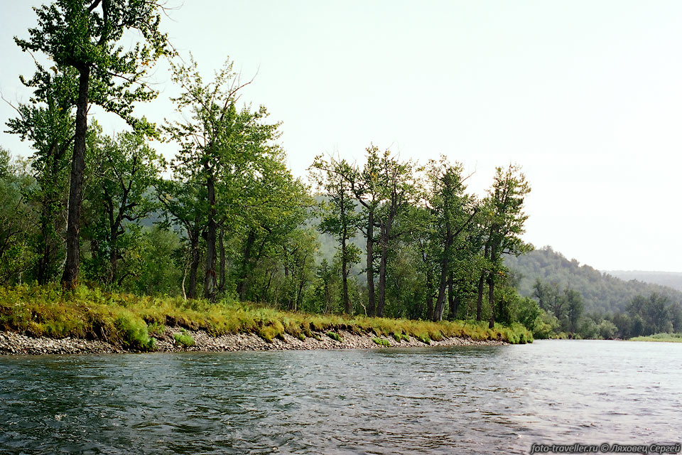 Берега реки Жупанова. 
Ширина реки до 100 метров.