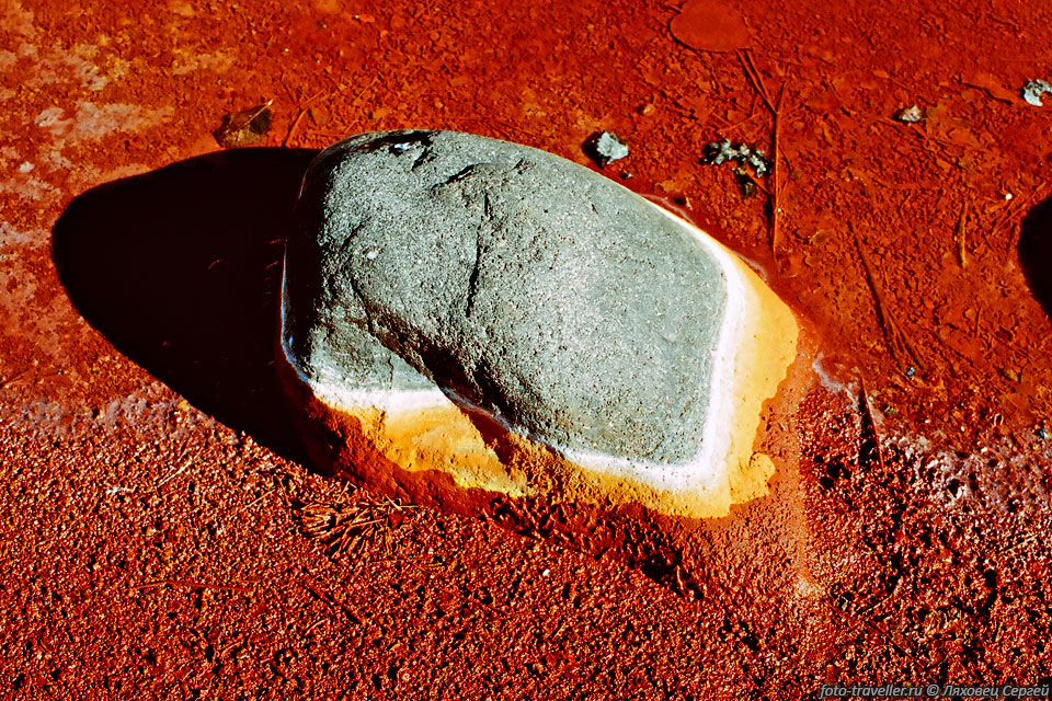 Шумнинские нарзаны. 
Камень среди термальных отложений красного цвета.