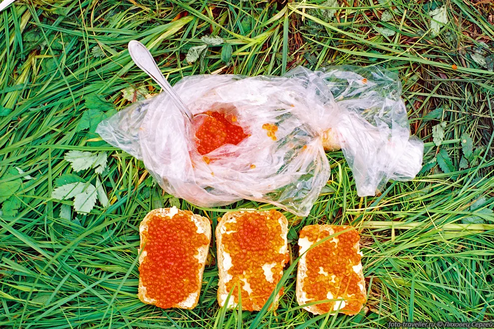 На рыбзаводе нас угостили икрой.
А масло тут дорогое.
