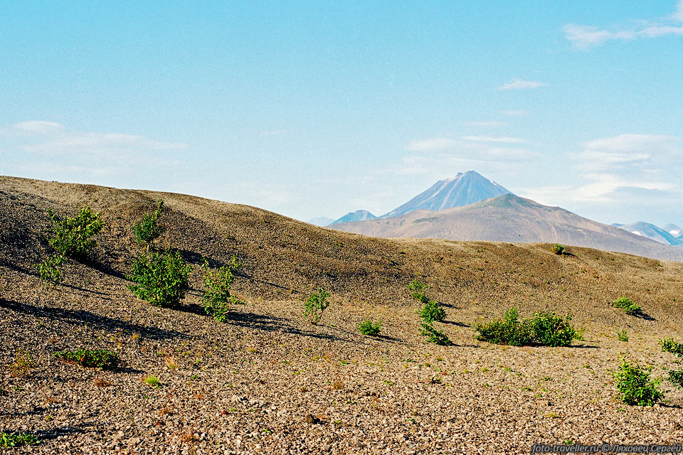 На заднем плане над шлаковым полем и сопкой Желтая возвышается 
вулкан Ходутка высотой 2087 м.