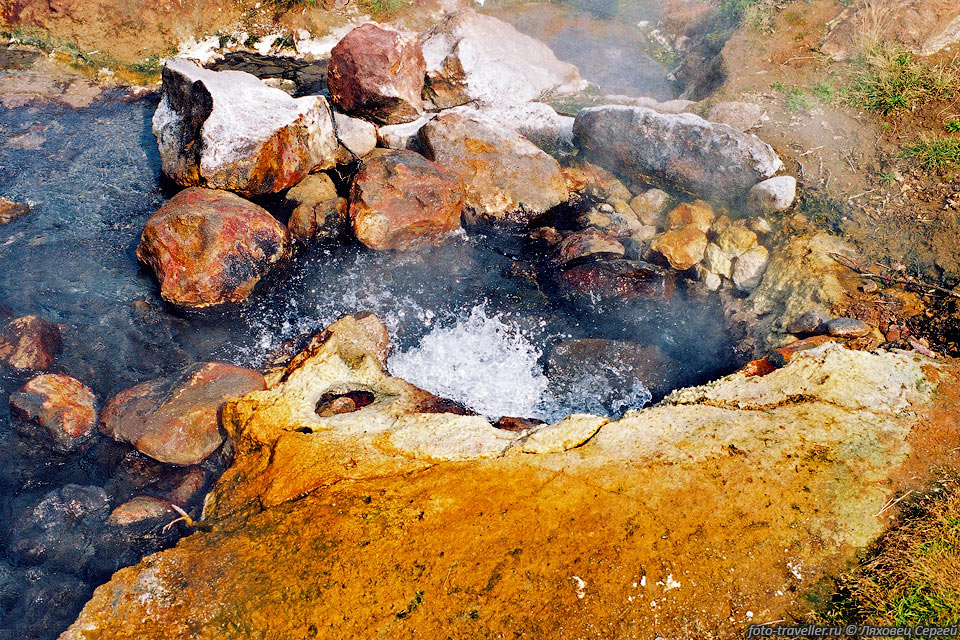 Жировские горячие источники состоят из нескольких крупных и 
многих мелких грифонов с температурой воды до 99 °С. 
