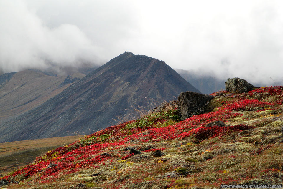 Разноцветный ковер тундры у подножья вулкана Кизимен