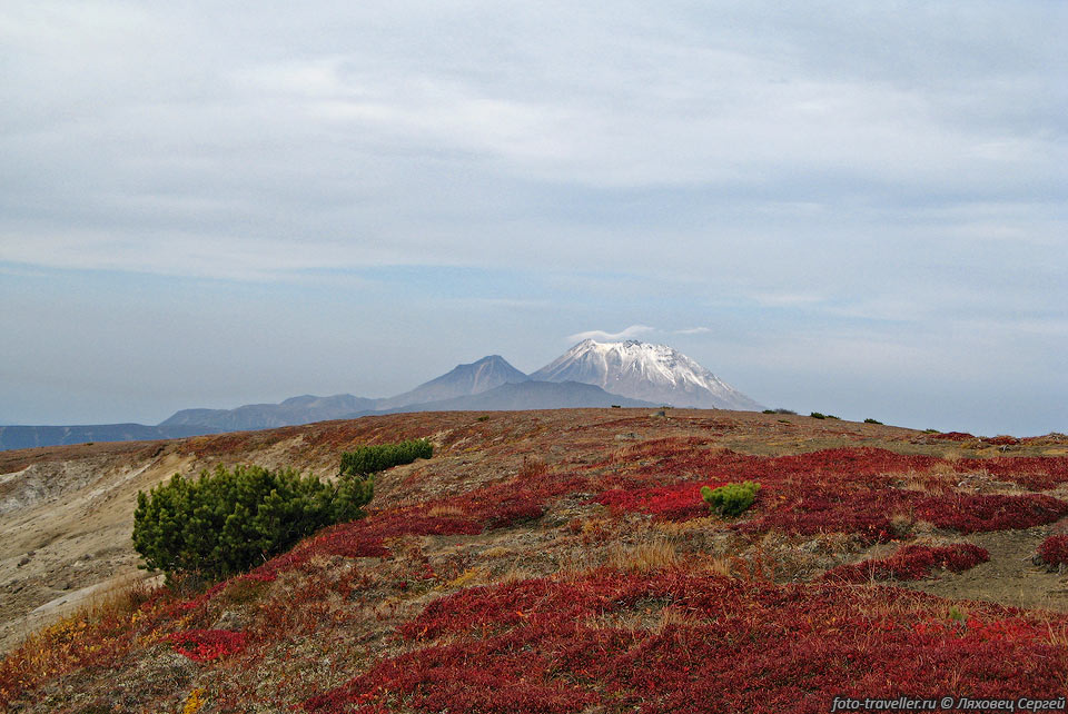 С сопки Открытая хорошо виден снежный конус вулкана Тауншиц