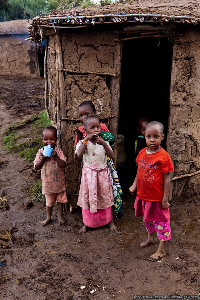 Все в масайской деревне сделано из коровьего дерьма - стены, крыши, 
мебель - оно тут везде.
Каждая семья живет в отдельной хижине, построенной из веток, глины и навоза. Крыша 
тоже из веток и навоза - ремонтировать видимо часто приходится, особенно после сезона 
дождей.
