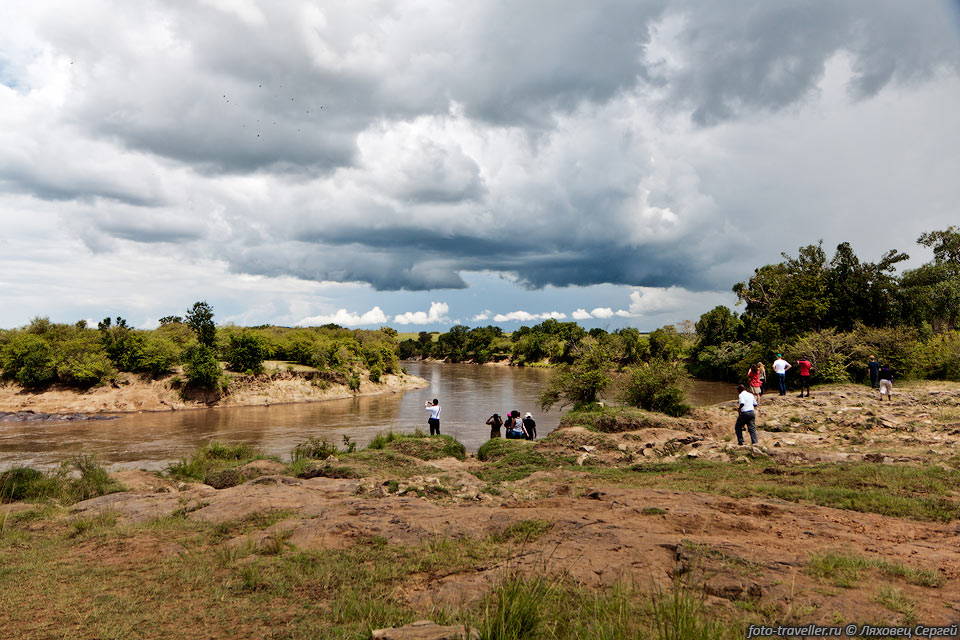 Речка Мара (Mara River) в районе моста -  одно из немногих 
мест в парке, где можно выйти из машины.
На другом берегу можно увидеть бегемотов.