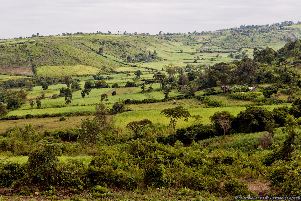 Сельские пейзажи Кении