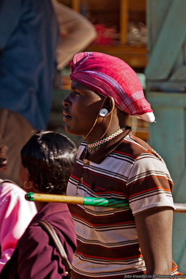Язык племени самбуру относится к восточно-нилотской группе языков 
Нило-сахарской семьи и подгруппе Маа.
Туда же входят языки племён масаи, шимуз, санпур и лаикипиак.