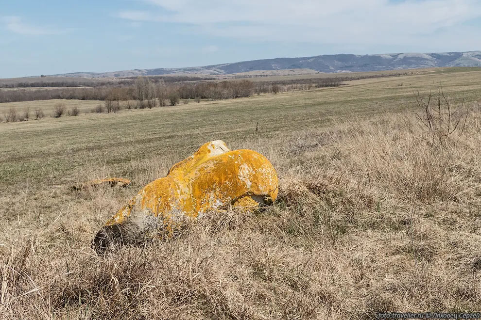 Камень в поле