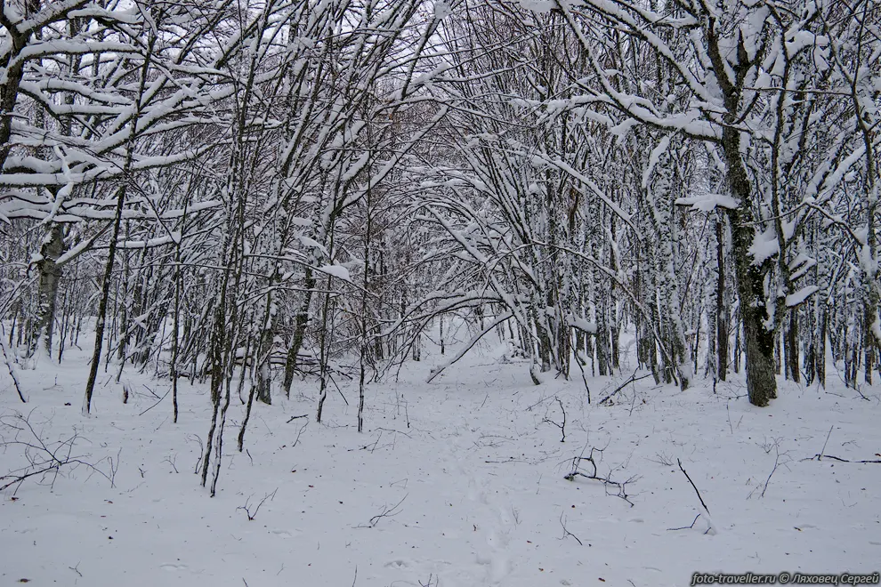 Аллея