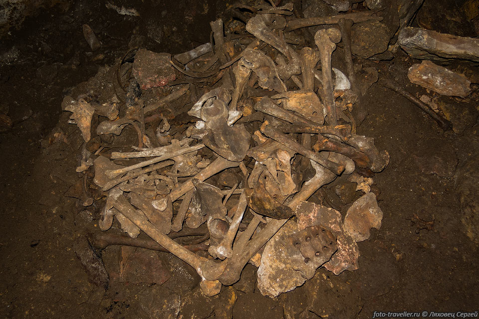 В пещере довольно много человеческих костей. Откуда они появились 
не понятно.
Может тут были захоронение или проводились жертвоприношения или это кости погибших 
генуэзцев.