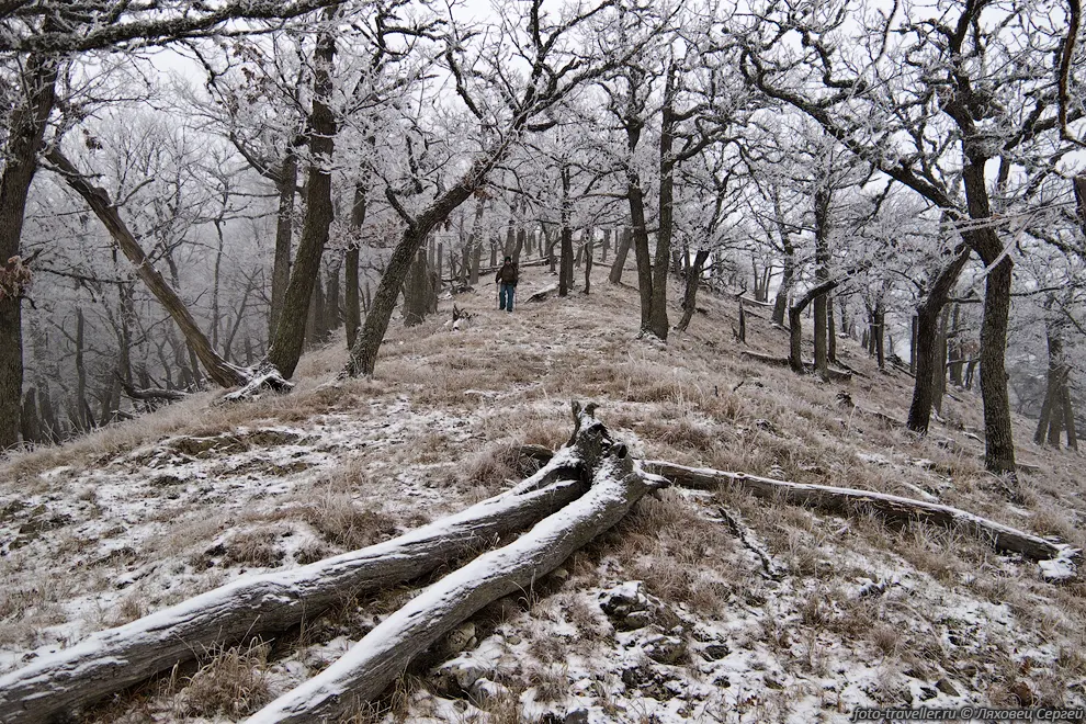 Хребет Конек
