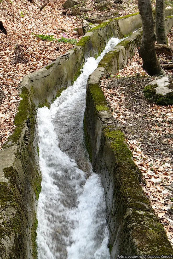 Желоб