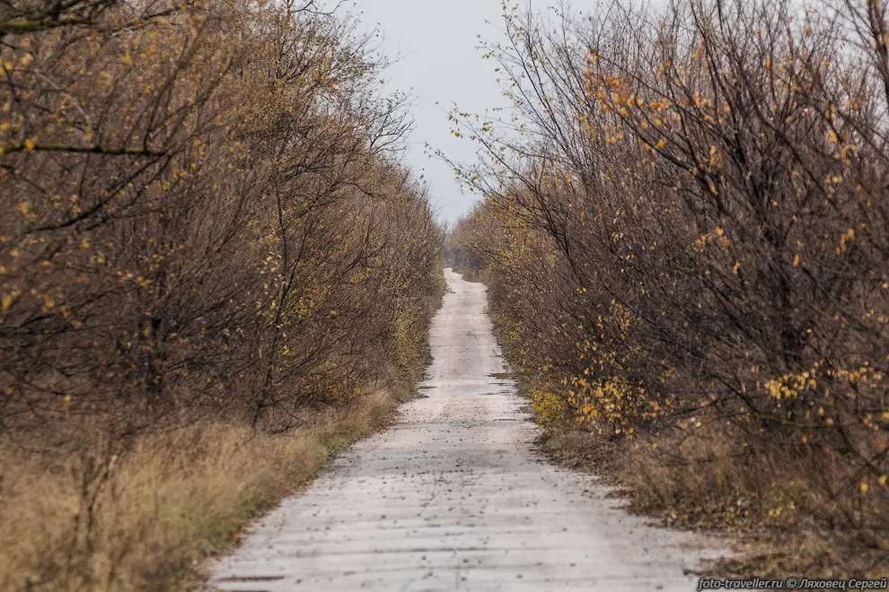 Узкая дорога