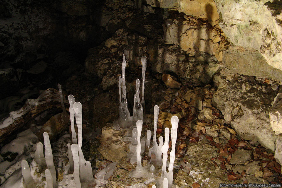 Ледяной лес перед входом в пещеру