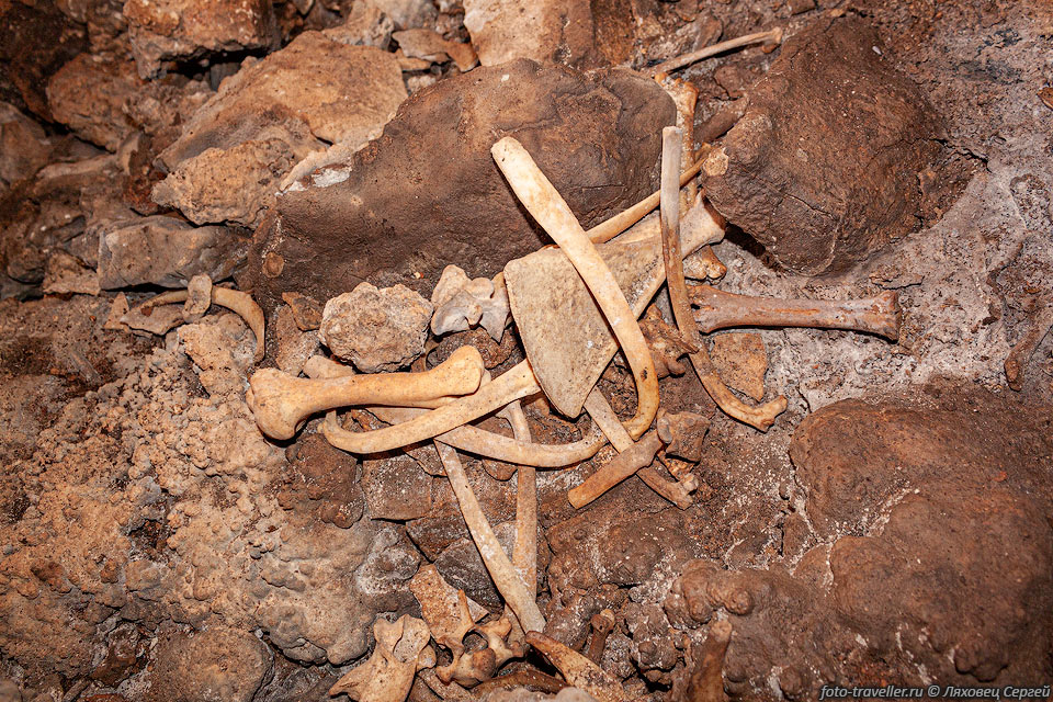 Кости в пещере К6Д40 (4448/3417-8)