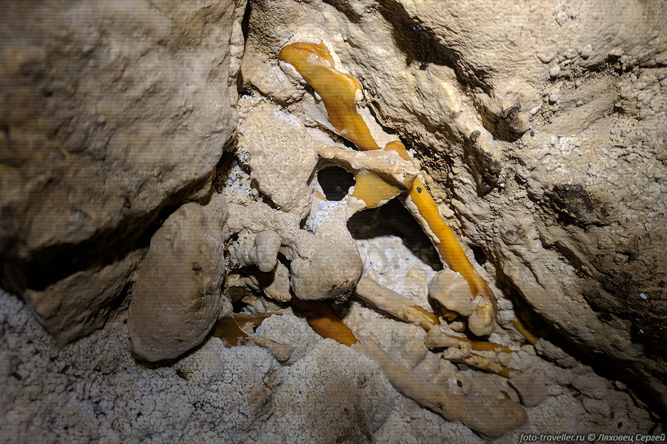Затекшие кости на дне дальней ветки пещеры Загадка