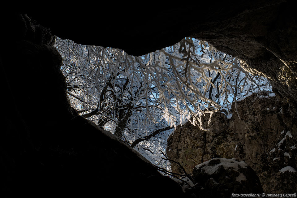 Деревья над пещерой Холодная на Чатыр-Даге
