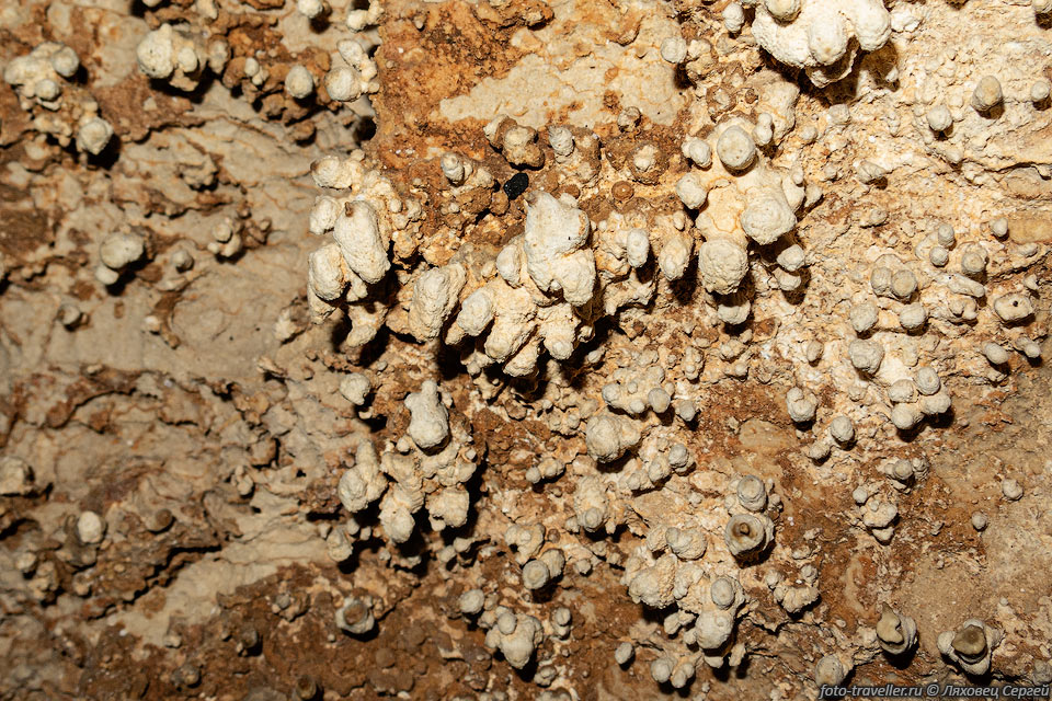 В пещере Узун-Коба-Хосар