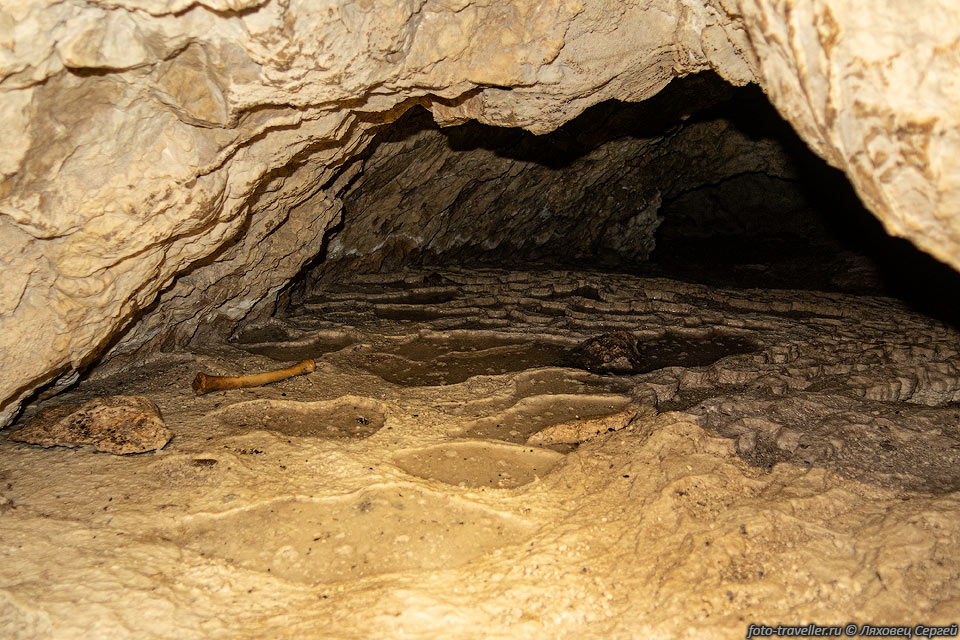 Пещера Буковая